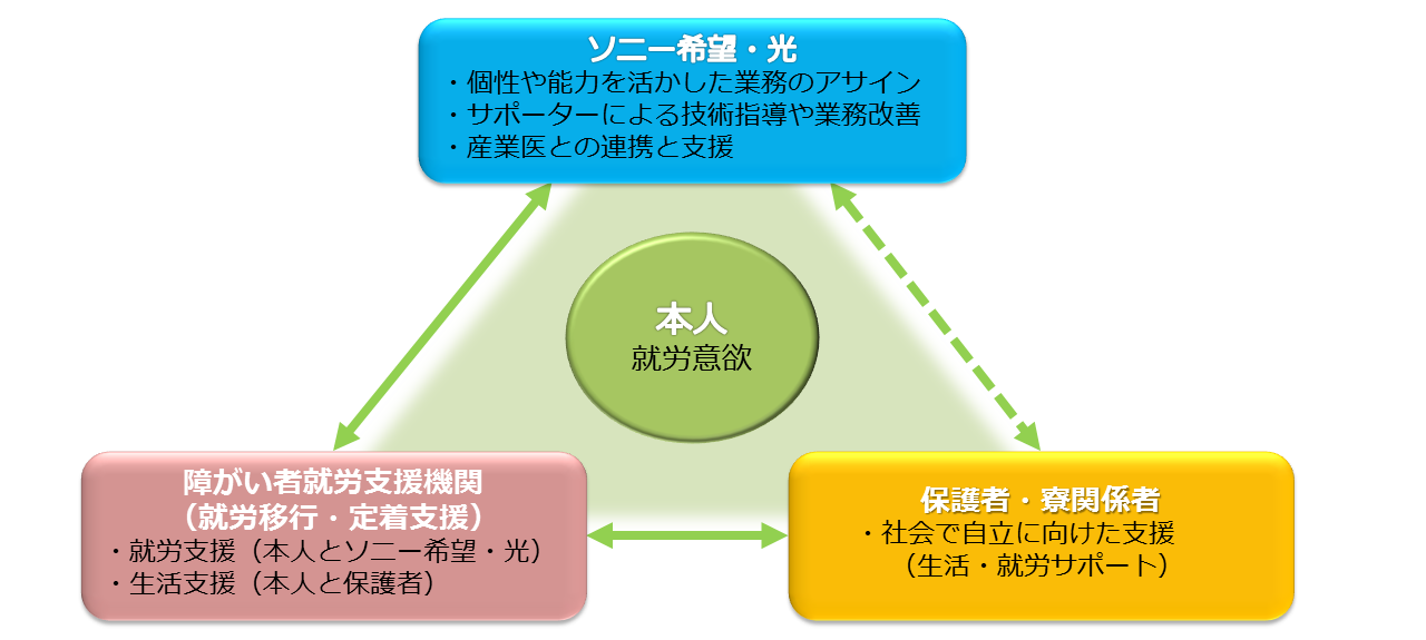 ソニー希望・光は、個性や能力を活かした業務のアサイン、サポーターによる技術指導や業務改善、産業医との連携と支援を行います。障がい者就労支援機関（就労移行・定着支援）は、就労支援を本人とソニー希望・光との間で、生活支援を本人と保護者の間で支援します。保護者・寮関係者は、社会で自立に向けた支援（生活・就労サポート）を行います。ソニー希望・光は、就労移行支援機関と保護者・寮関係者との三位一体で本人の就労意欲を最大限に引き出します。