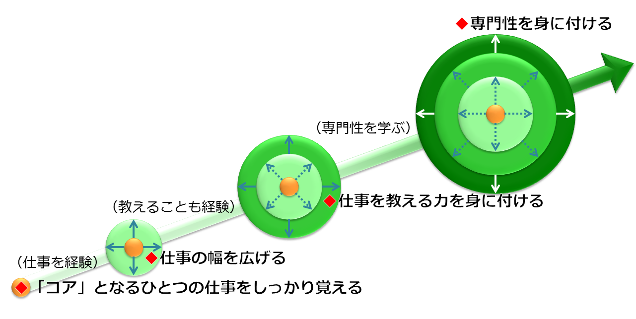 「コア」となるひとつの仕事をしっかり覚える。次に仕事の幅を広げる（仕事を経験）さらに仕事を教える力を身に付ける（教えることも経験）その後、専門性を身に付ける（専門性を学ぶ）。